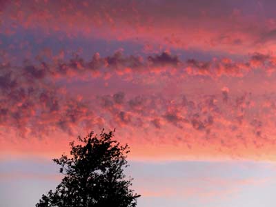 2015-07-10-007