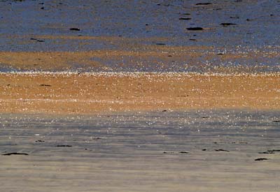 2010-04-17-021a
