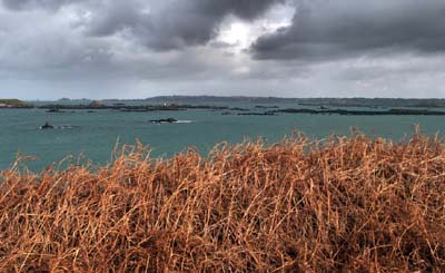 2011-12-29-035x_filtered