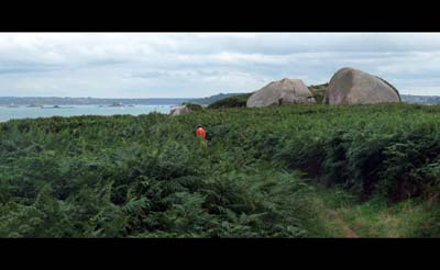 2014-08-30-035-panob1