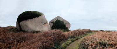 2021-01-19-145-pano