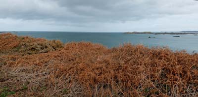 2022-12-27-036-pano