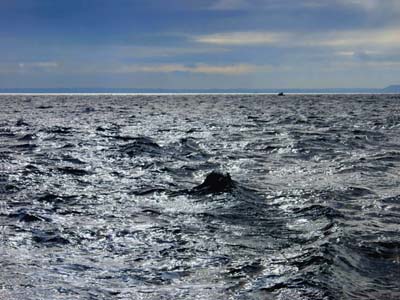 0_carantec_mer_013
