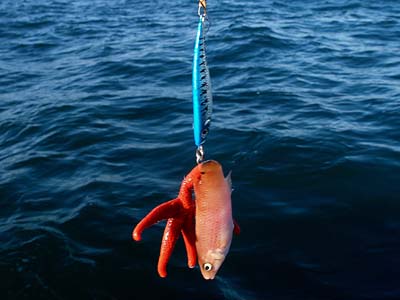 2010-08-29-049a