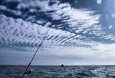 2010-08-29-074a
