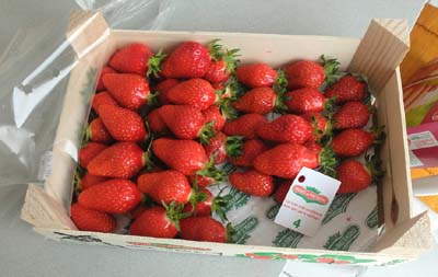 2013-07-01-011a