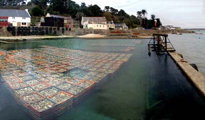2013-04-16-301-panob