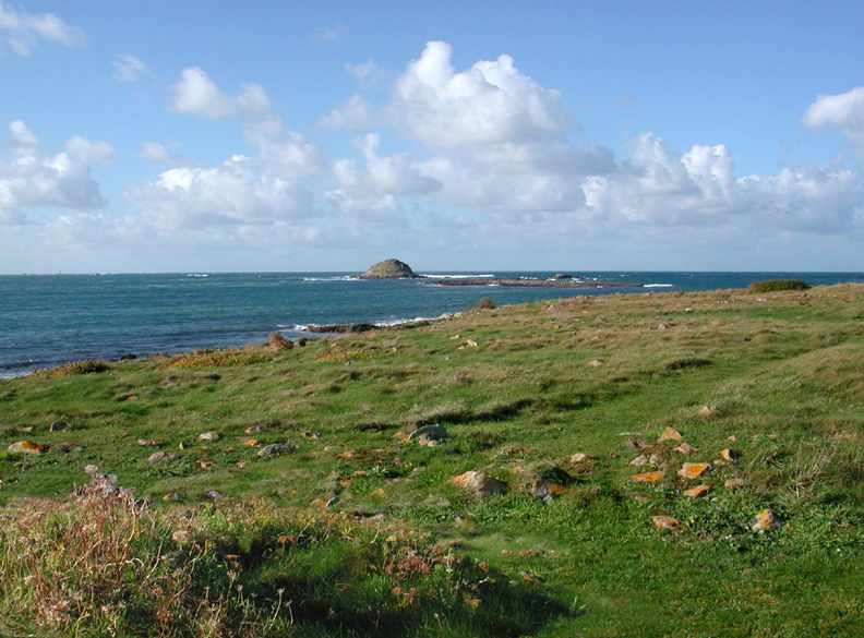 Accueil