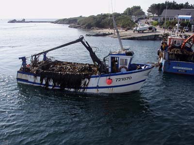 02-lp-plouar-07