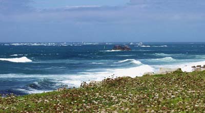 05a-marins_141