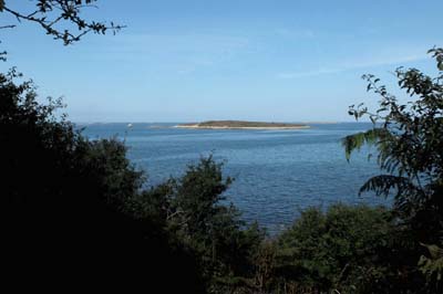 07-aberw-2019-09-09-151