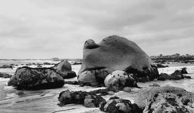 9-2015-03-23-078ob