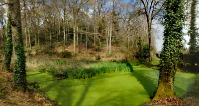 2018-04-08-147-pano2