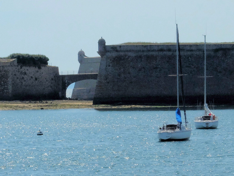 Accueil