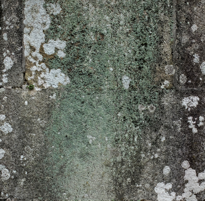Accueil