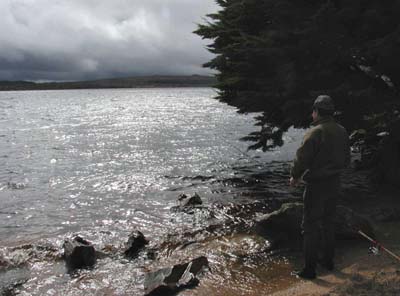 bren-lac1