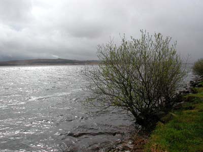 bren-lac2