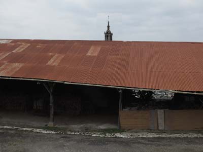 lannedern-2021-03-09-337