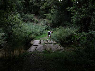 sttheg-2023-07-20-035