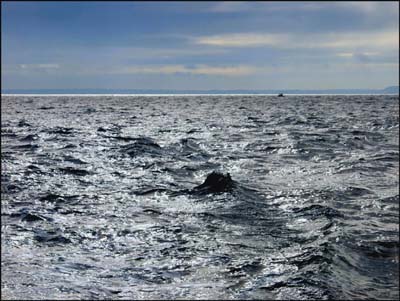 0-roscoff-001