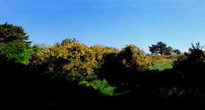 2017-04-18-194-pano