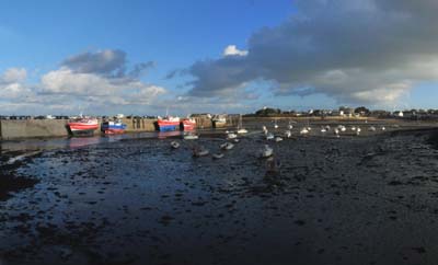 2022-12-26-053-pano