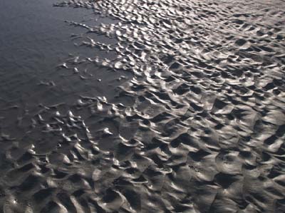 dossen-2010-01-02-002