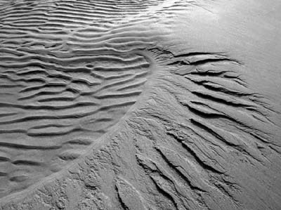 dossen-2013-03-31-338c1
