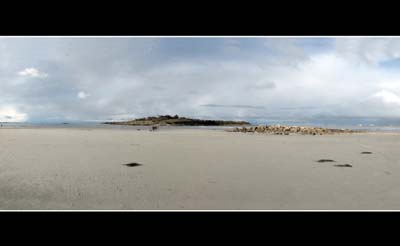 dossen-2021-01-08-501-pano