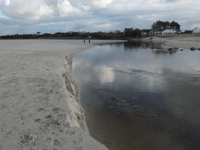 dossen-2021-01-08-587