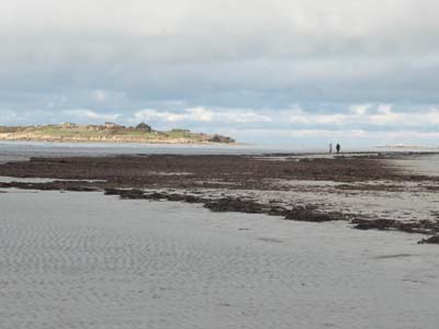 dossen-2021-01-08-652
