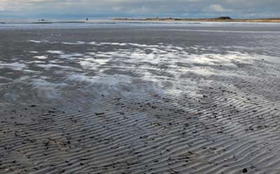 dossen-2021-01-08-668