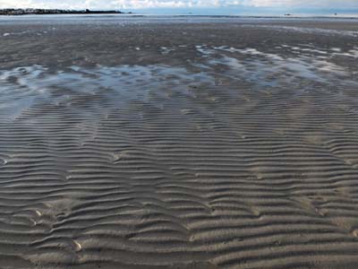 dossen-2021-01-08-675