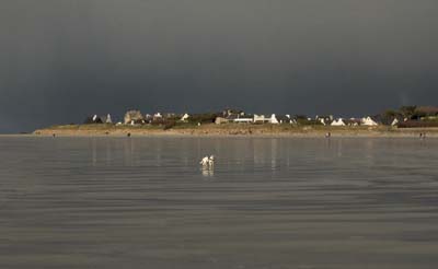 dossen-2021-01-08-763