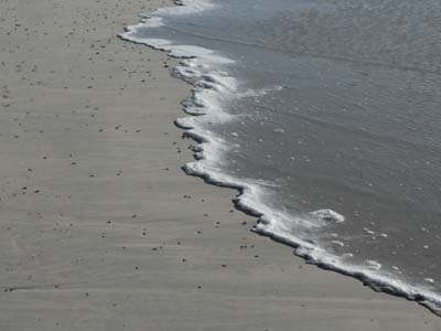 dossen-2021-02-27-036