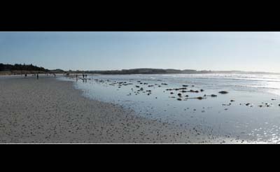 dossen-2021-02-27-077-pano