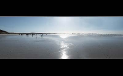 dossen-2021-02-27-125pan