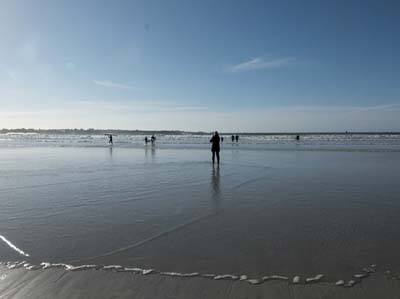 dossen-2021-02-27-141