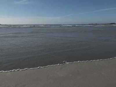 dossen-2021-02-27-191