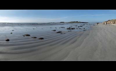 dossen-2021-02-27-265-panob