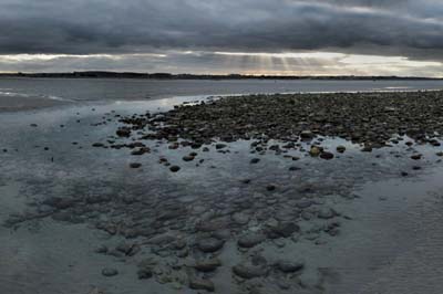 dossen-2022-01-06-029