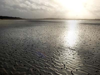 dossen-2022-12-26-006