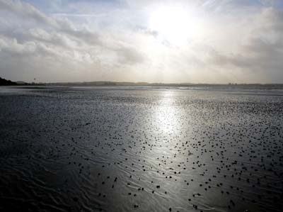 dossen-2022-12-26-007