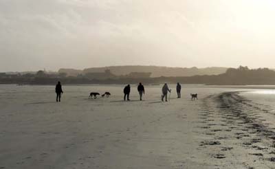 dossen-2022-12-26-013