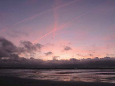 dossen-2023-01-05-219