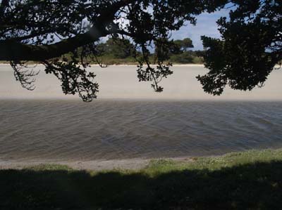 dossen-2023-04-23-009