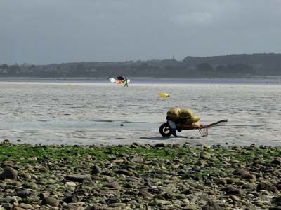 dossen-2023-08-06-037