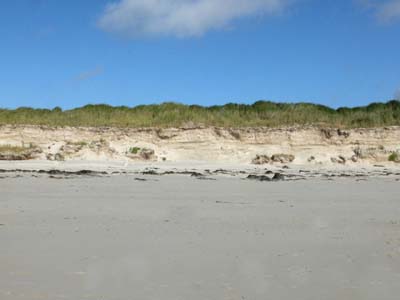 dossen-2023-08-06-050