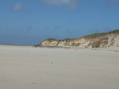 dossen-2023-08-06-088