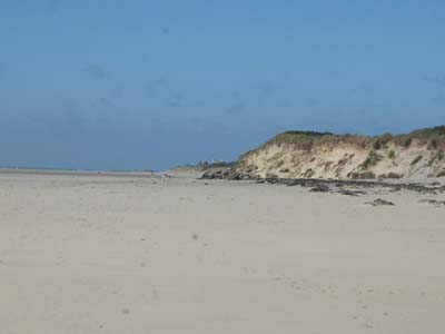 dossen-2023-08-06-095